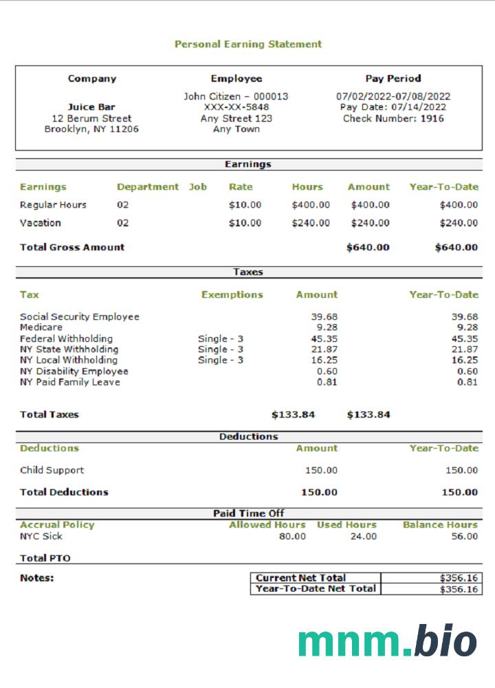 USA personal earning statement template